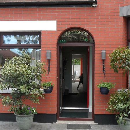 Sycamore House B&B Dublin Exterior foto